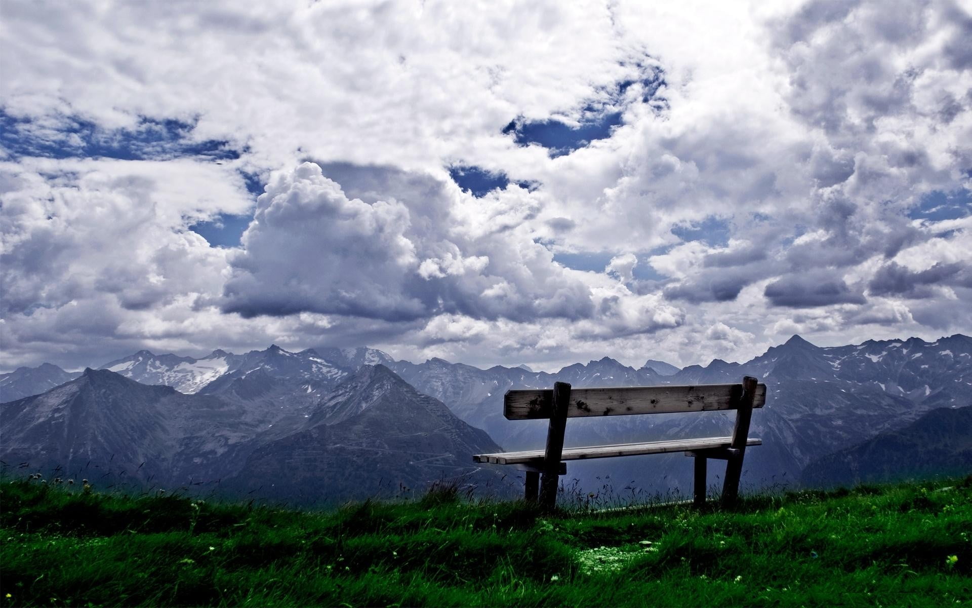 brown wooden patio bench, nature, bench