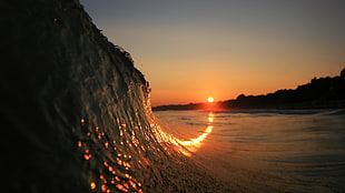 ocean wave, waves, sunset, beach, depth of field