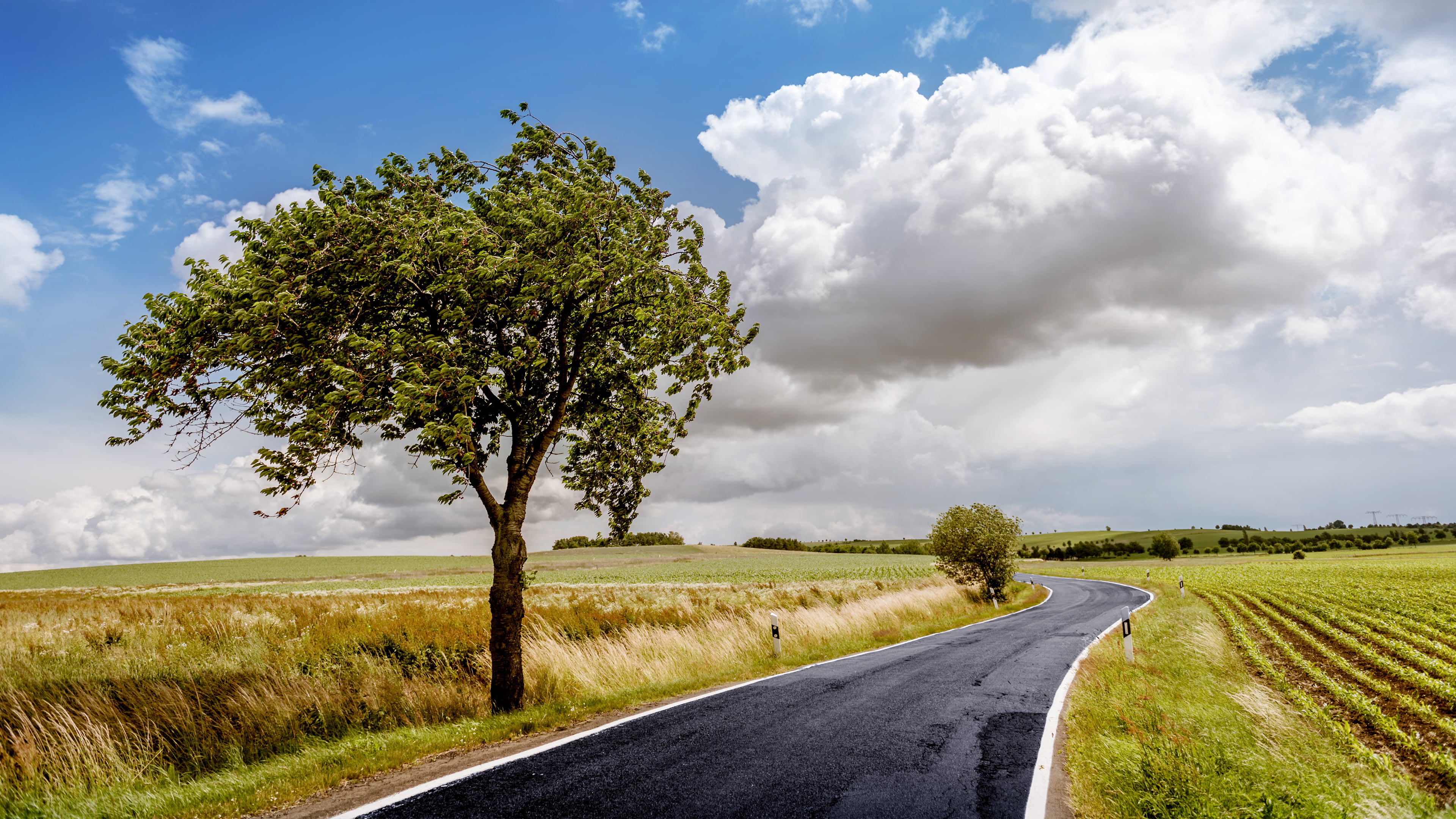 paved road between green grass field, trees, road, landscape, clouds