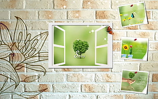 white wooden picture frame