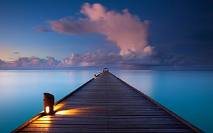 brown wooden dock, walkway, clouds, sea, nature