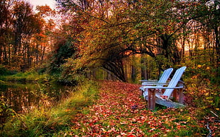 two blue Adirondack chairs, photography, landscape, nature, park