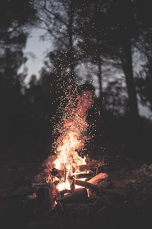 man standing in front of bone fire HD wallpaper