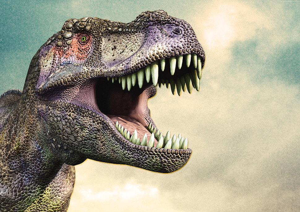 Tyrannosaurus Rex HD wallpaper