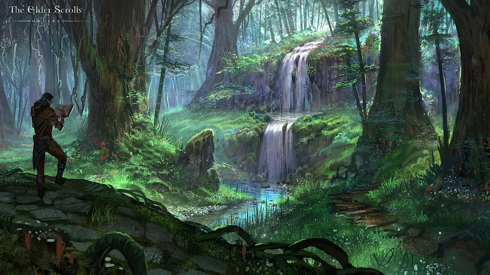 waterfalls surrounded by green leaved plants and trees HD wallpaper