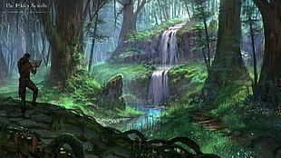 waterfalls surrounded by green leaved plants and trees
