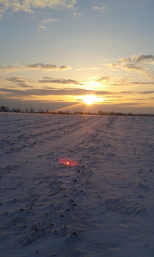 snow field and golden hour, snow, nature, winter, cold