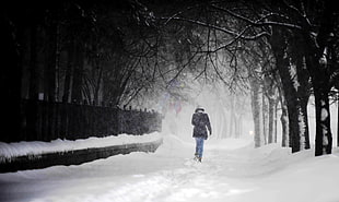 men's black dress shirt, snow, nature, winter, trees