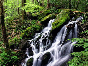 silhouette photo of waterfalls