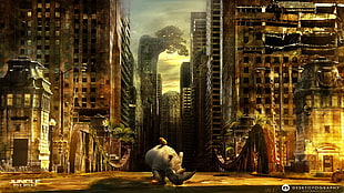 Jungle Sunk digital wallpaper, Desktopography, nature, animals, rhino HD wallpaper