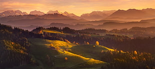 green leafed trees, morning, mountains, forest, Switzerland