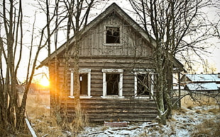 shallow focus photography of brown cabin house during sunset