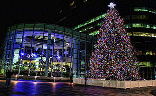 Tree,  Christmas,  Garland,  Fencing