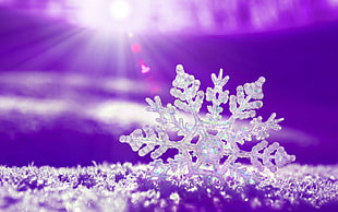 close up photo of snowflake against sunlight