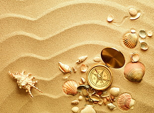 brass framed compass beside seashells