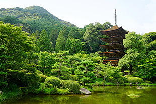 Pagoda Tower, Japan
