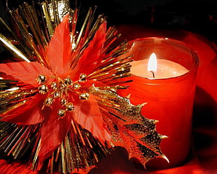 lighted candle near red poinsettia wallpaper