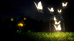 white butterflies, butterfly, bottles, lights, digital art