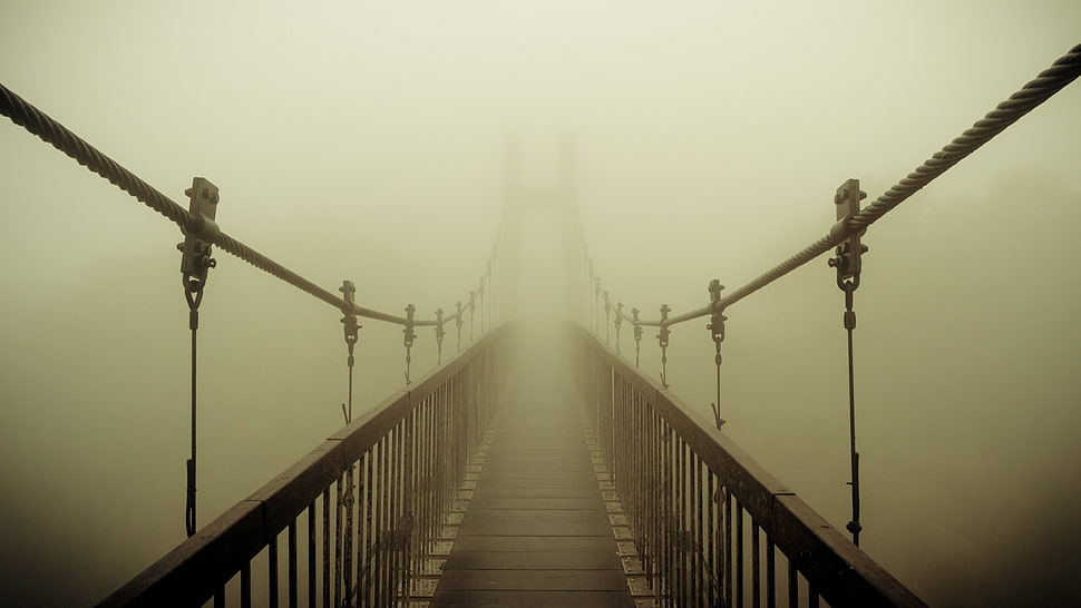 brown wooden hanging bridge, mist, bridge HD wallpaper