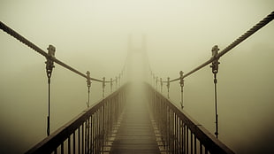 brown wooden hanging bridge, mist, bridge
