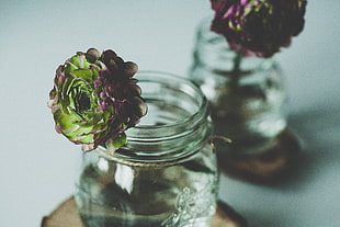 shallow focus photography of green flowers in clear glass jar