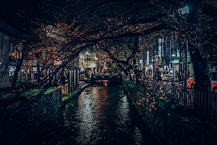 urban HD wallpaper