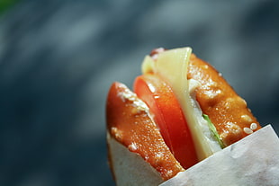 photo of hamburger with sliced tomato and cheese, food, tomatoes, bread