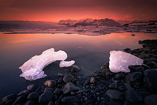 body of water with rocks and ice
