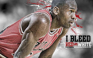 Michael Jordan, Michael Jordan, sport , men, basketball HD wallpaper