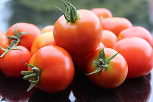 Tomato,  Vegetable,  Ripe HD wallpaper