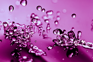 shallow focus photography of droplets of waters HD wallpaper