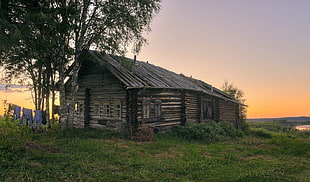 brown wooden log house, Russia, hut, landscape