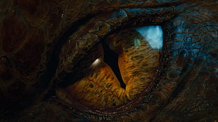 dragon's eye, Smaug, The Hobbit, dragon, eyes HD wallpaper