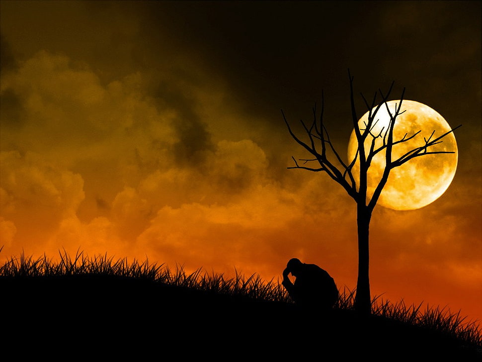 silhouette of bare tree, alone, Moon, night, people HD wallpaper
