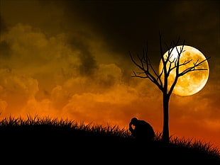 silhouette of bare tree, alone, Moon, night, people