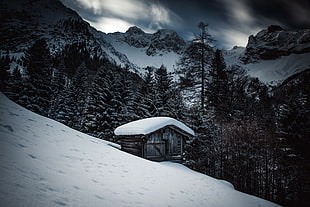 brown wooden cabin, mountains, nature, winter, landscape