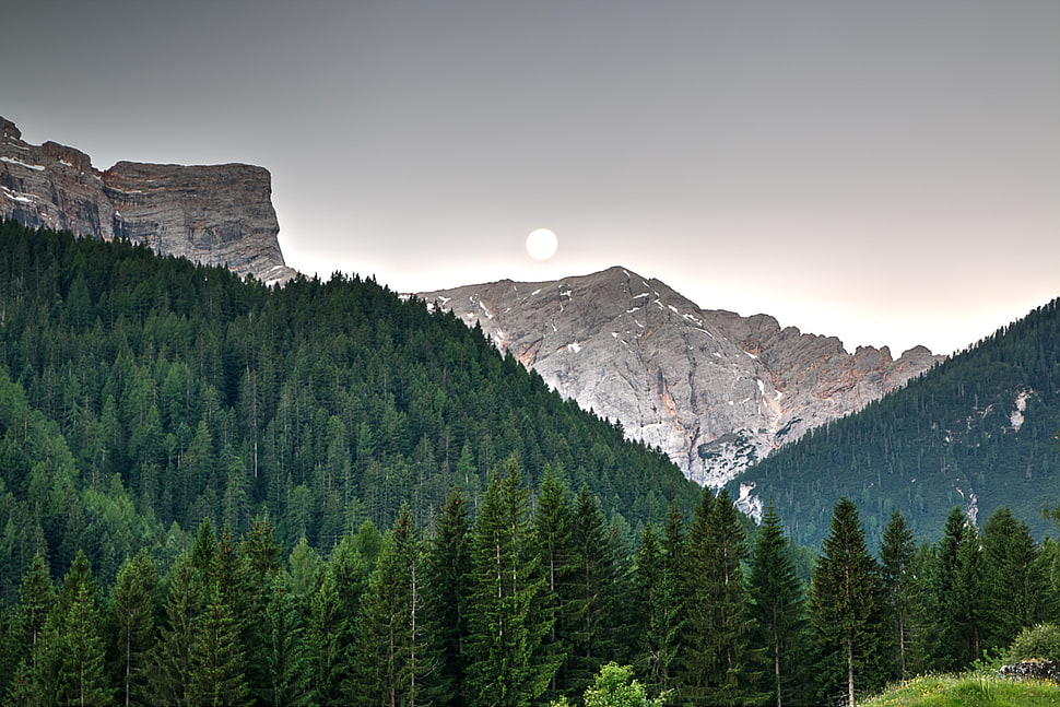 tree lot, Mountains, Trees, Sky HD wallpaper