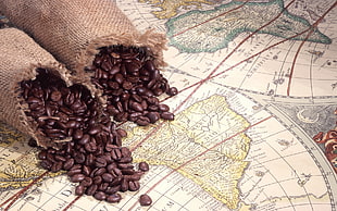 coffee beans with sack HD wallpaper