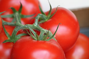 red tomato lot, paris