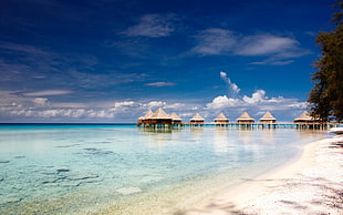 Maldives beach, atolls, island, beach, French Polynesia HD wallpaper