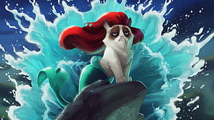 cat with mermaid tail on rock wallpaper HD wallpaper