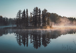 body of water, forest, lake, reflection, nature