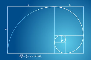 geometric chart, golden ratio, Fibonacci sequence, mathematics HD wallpaper