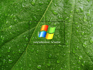 Windows Vista digital wallpaper