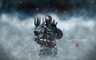 The Witcher poster, The Witcher, The Witcher 3: Wild Hunt HD wallpaper