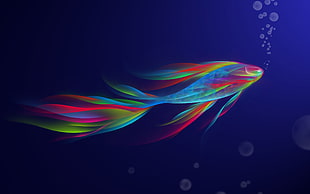 multi-colored of fish painting HD wallpaper