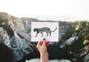cat illustration, Art, Leaf, Leopard HD wallpaper