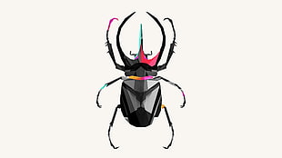 black, pink, and teal beetle illustration, digital art, CGI, insect, low poly