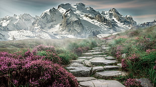 landscape photo of gray mountain HD wallpaper