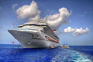 white cruise ship, cruise ship, vehicle, ship